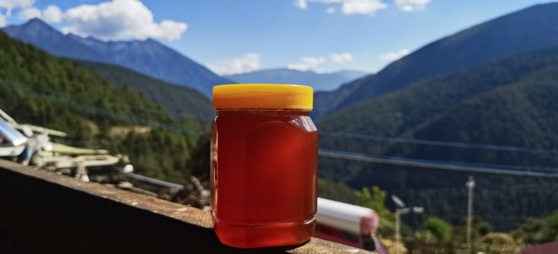 纯野生蜂蜜