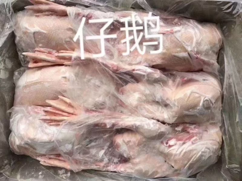20公斤7只全净膛仔鹅1500件，今年3月份的货，全接价不高