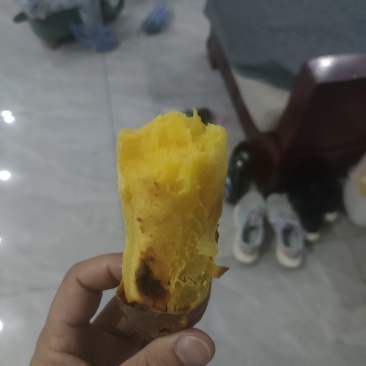 北义城红薯