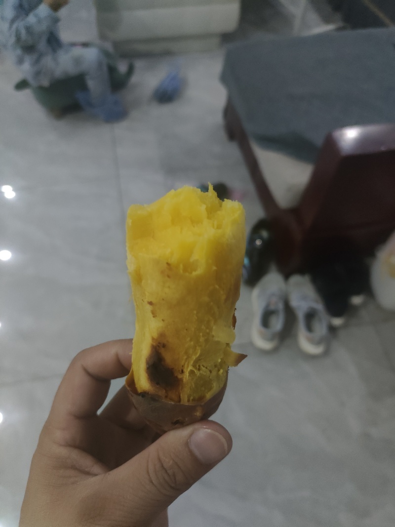 北义城红薯