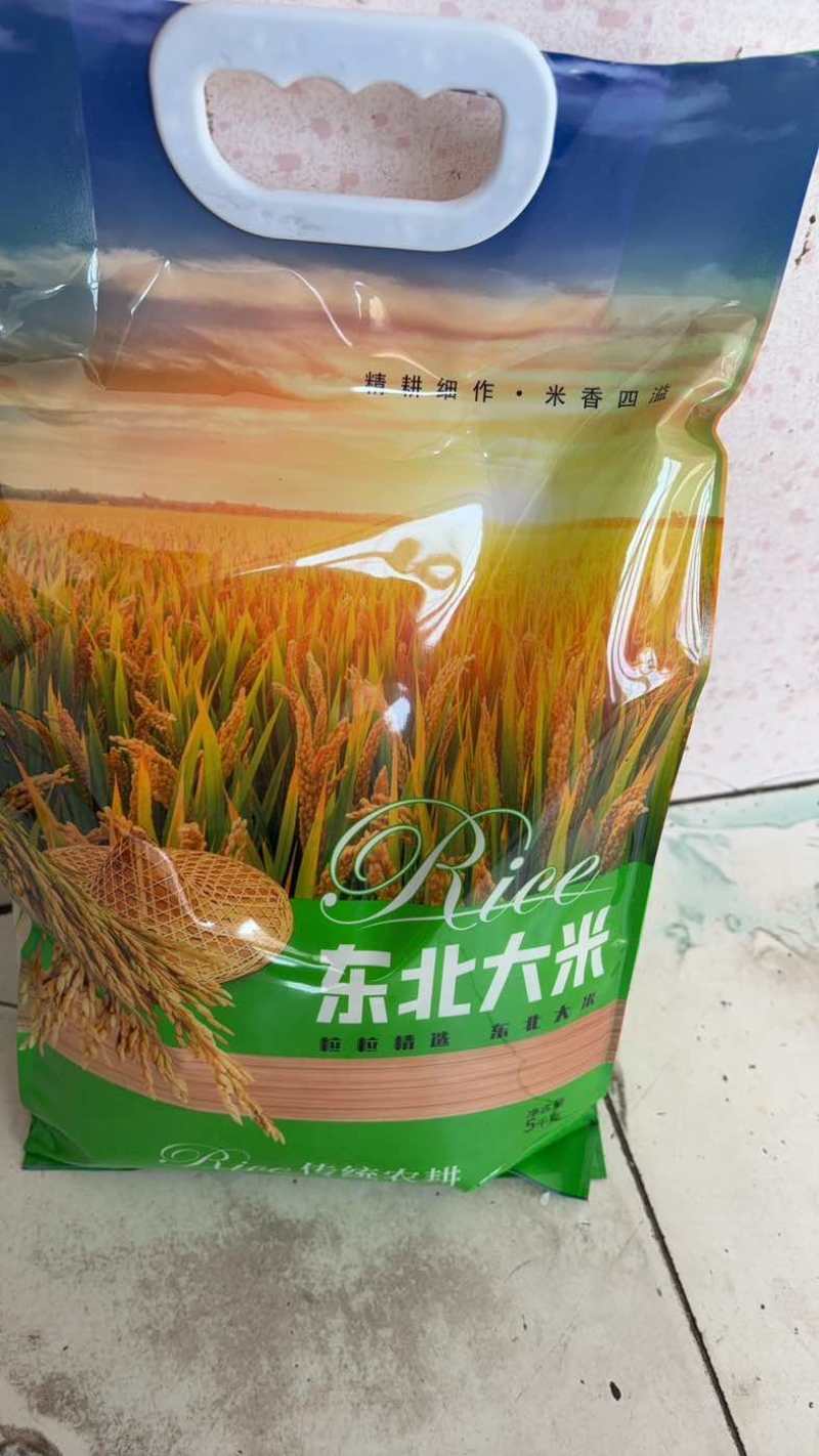 泰来长粒香（中科发五)