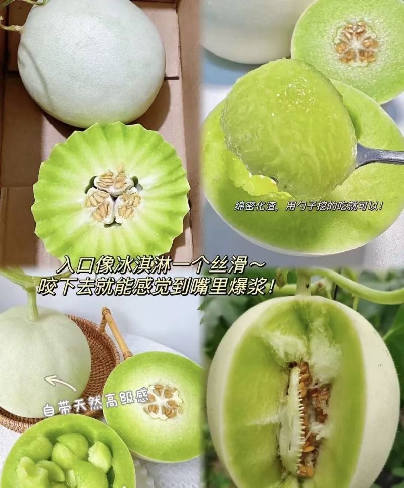 冰激凌玉菇甜瓜对接电商直播档口商超一件代发