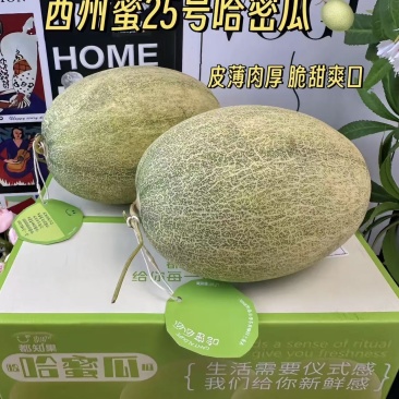 西州蜜25号甜瓜对接电商直播档口商超一件代发源头发货