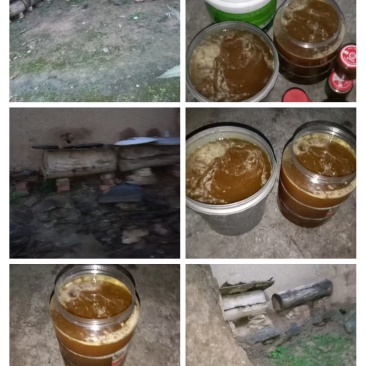 自家养的，正宗土蜂蜜