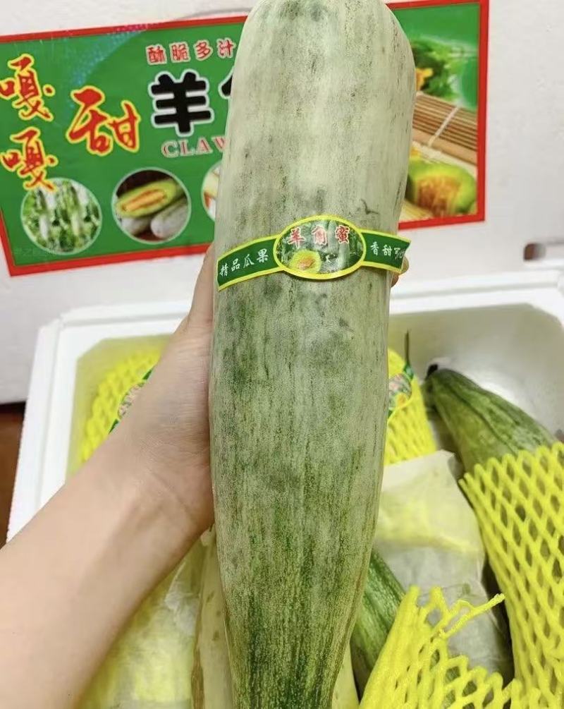 羊角蜜甜瓜对接电商直播档口商超社团私域一件代发