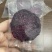 火龙果干独立小包装手抓包，箱装一件10㎏
