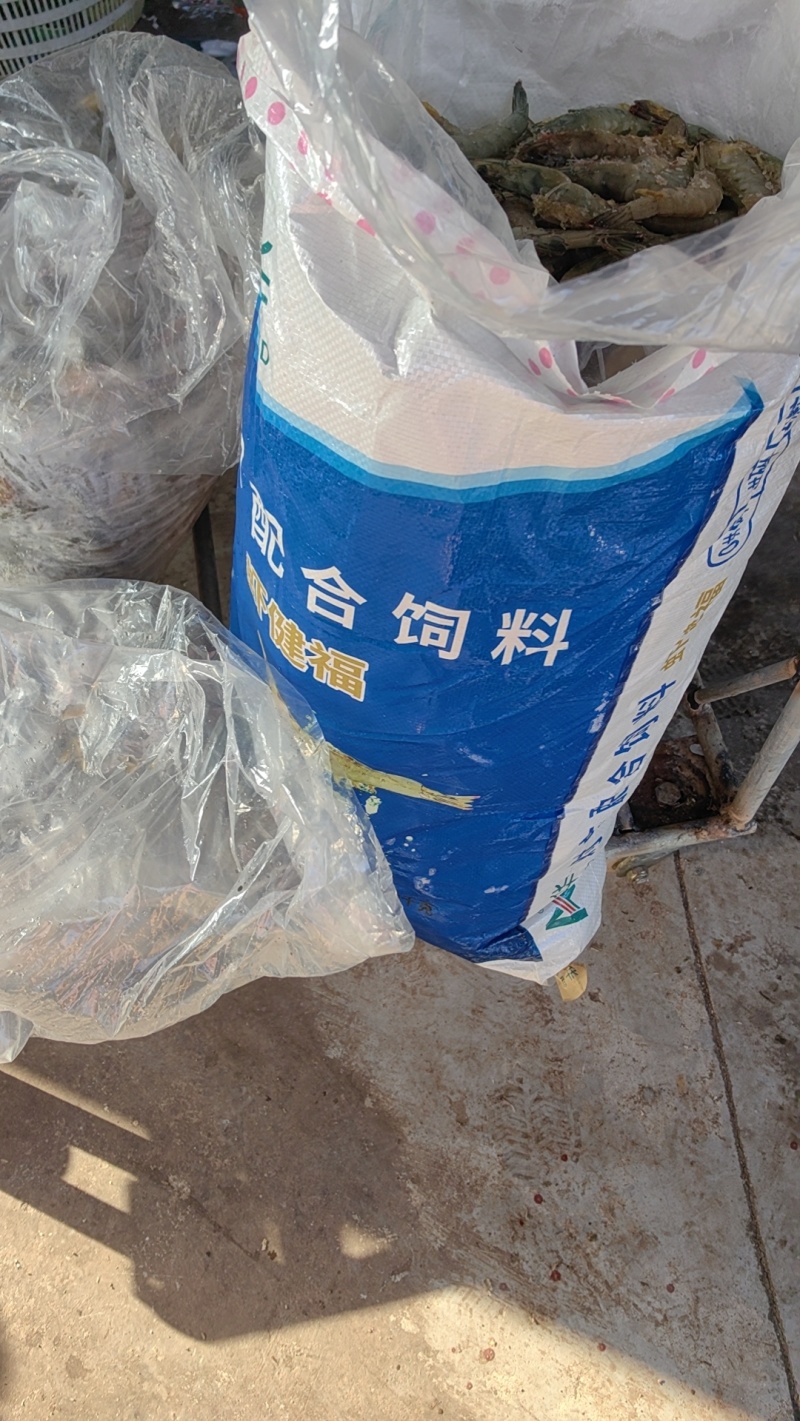 白虾