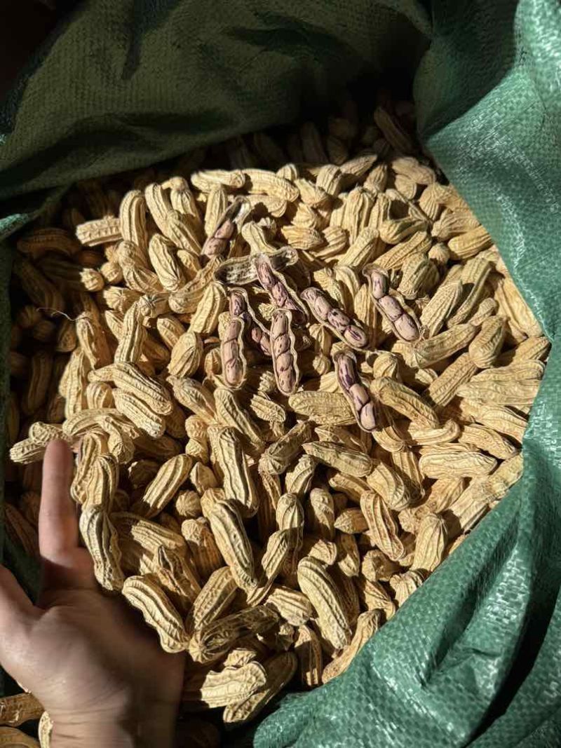 云南七彩花生🥜黑花生