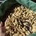 云南七彩花生🥜黑花生