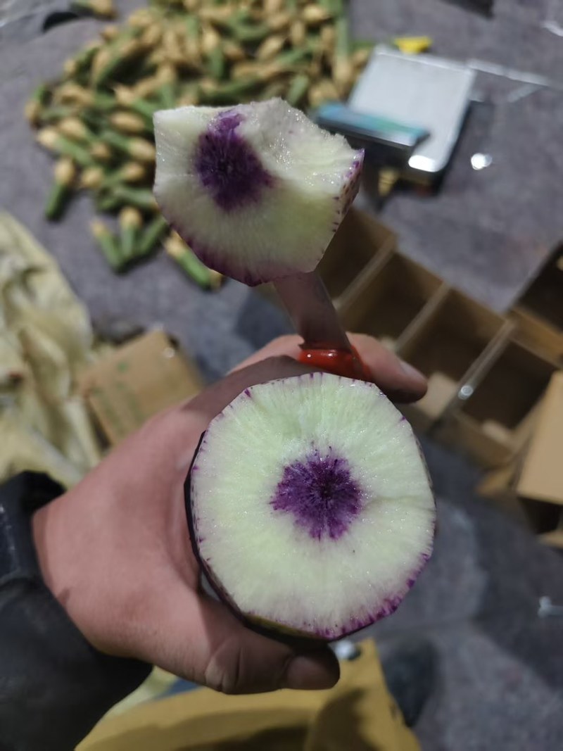 潍坊冰淇淋萝卜一件代发有需求*************