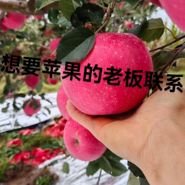 代办，代收，代发