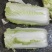 东北大白菜