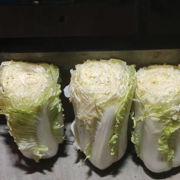 东北大白菜