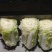 东北大白菜