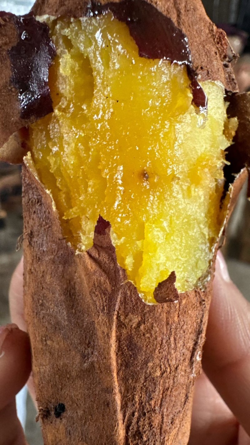 高原蜜薯