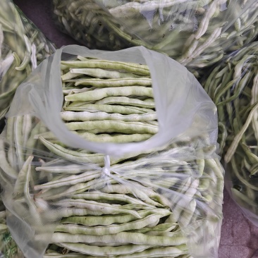 七粒白，白不老