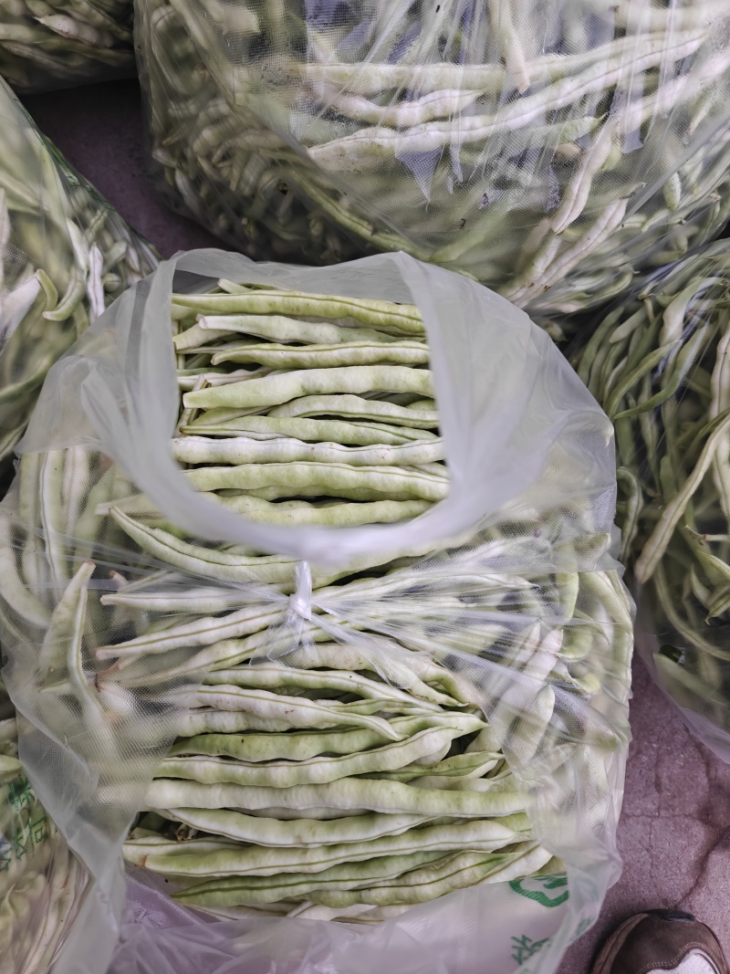 七粒白，白不老