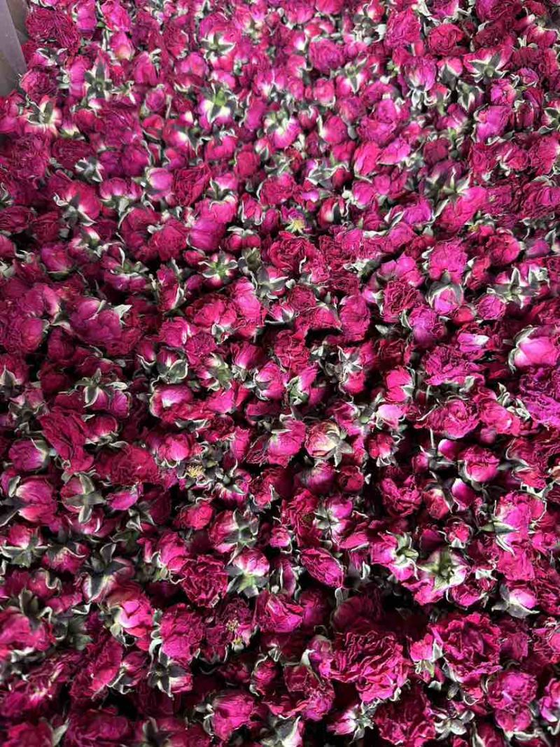 冻干墨红玫瑰花微波干烤干墨红金边玫瑰花出售
