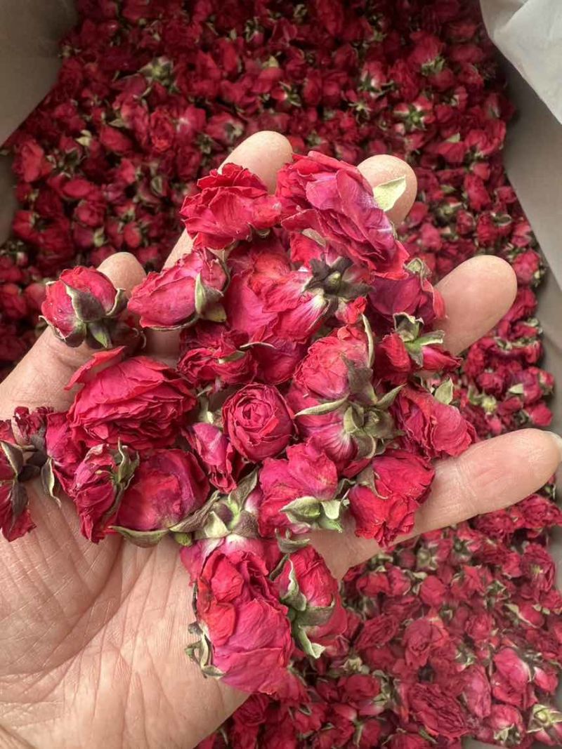 冻干墨红玫瑰花微波干烤干墨红金边玫瑰花出售