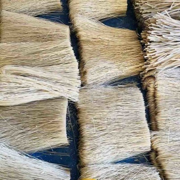 订做红薯粉条