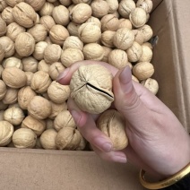 商超品质电商价格，185纸皮核桃大量现货。支持看货验货