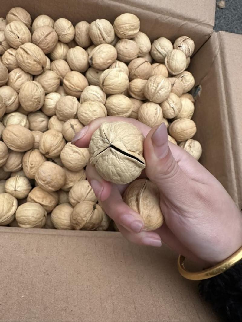 商超品质电商价格，185纸皮核桃大量现货。支持看货验货