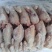 二级老母鸡11公斤9-14只装的新货厂家直销