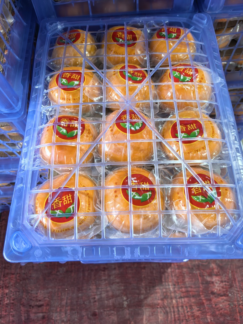 广西恭城精品脆柿