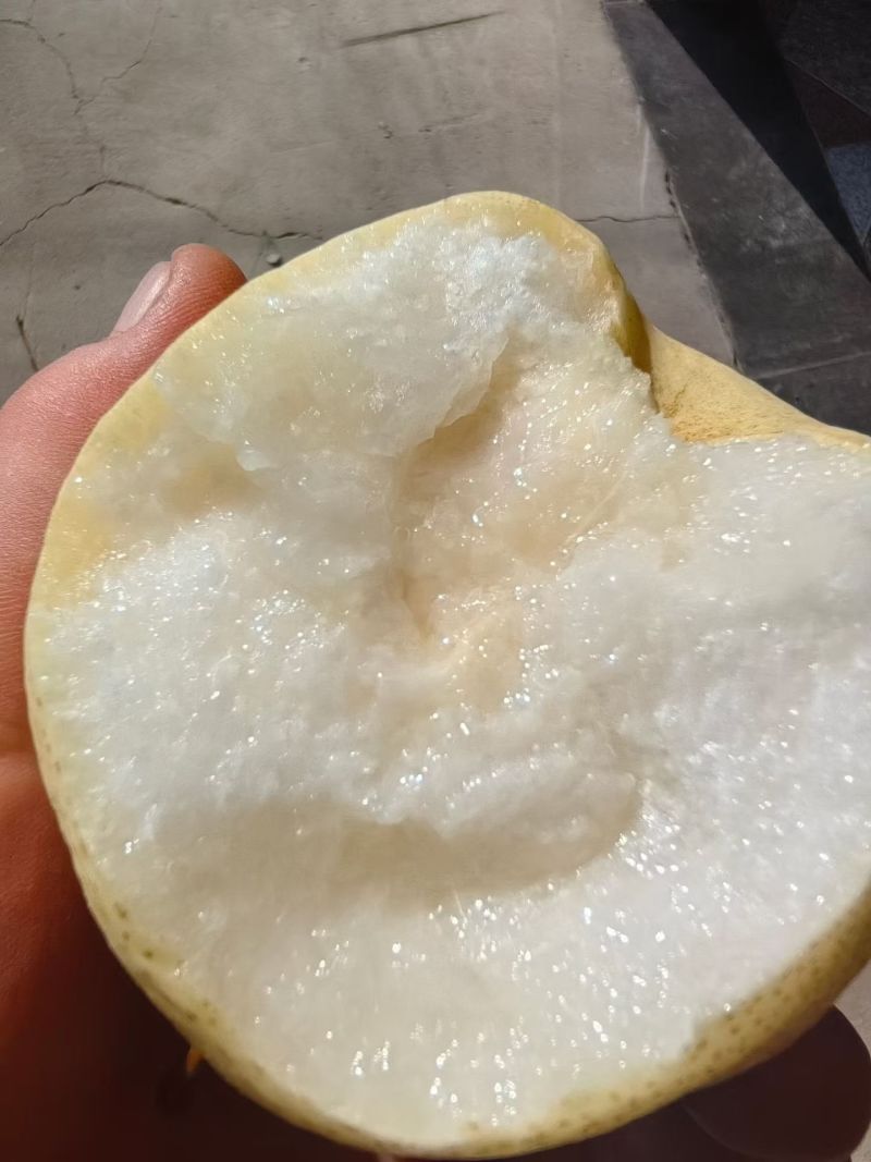 自家果园现摘梨，皮薄肉脆，汁水多，甜度高，现摘现发