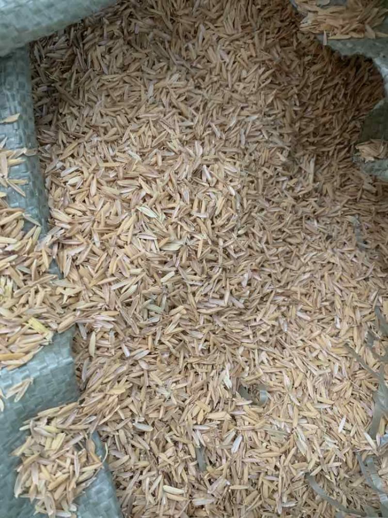 河南信阳现货压缩稻壳打包壳统糠筛糠除尘糠新谷壳批发