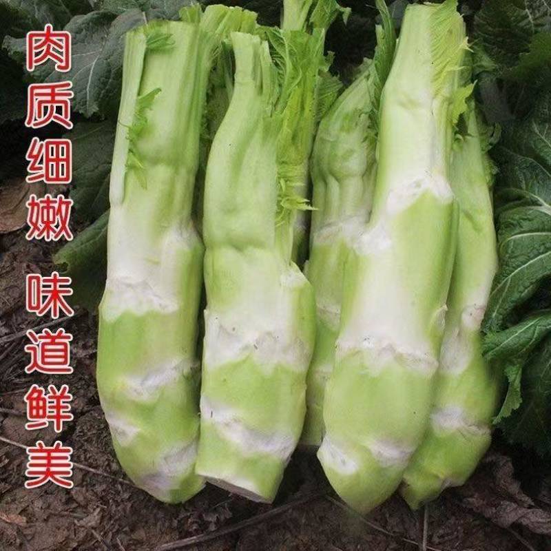 棒菜
