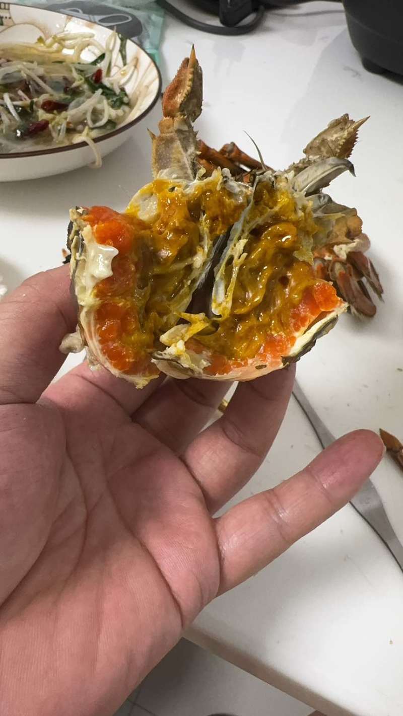 正宗江苏兴化大闸蟹中华绒螯蟹清水精养底板干净满膏满黄