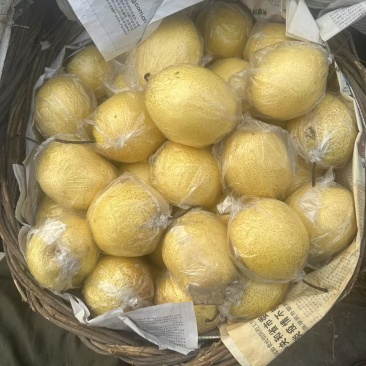 半斤以上雪花梨