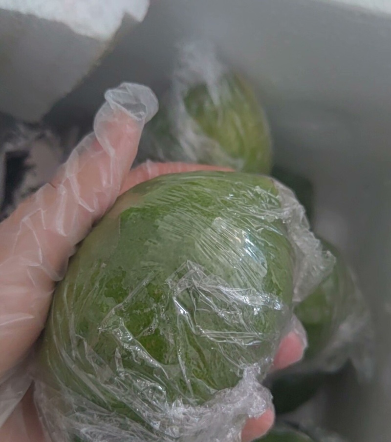 广东香水柠檬。