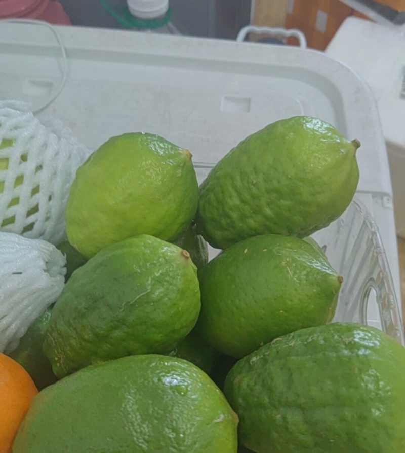 广东香水柠檬。