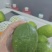 广东香水柠檬。