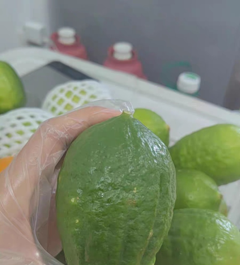 广东香水柠檬。