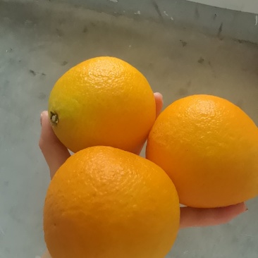 爱媛果冻橙