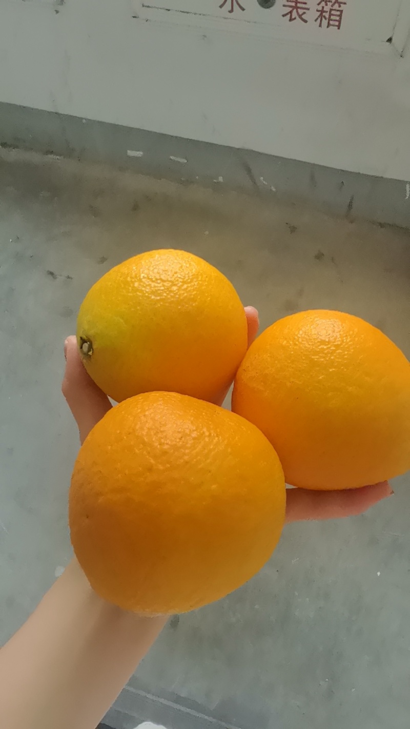 爱媛果冻橙