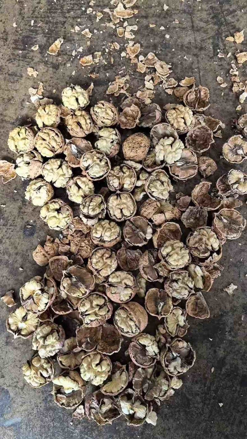 云南新大麻子核桃103185电商代发