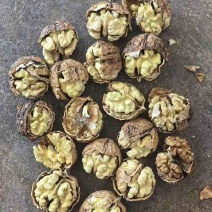 云南新大麻子核桃103185电商代发