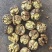 云南新大麻子核桃103185电商代发