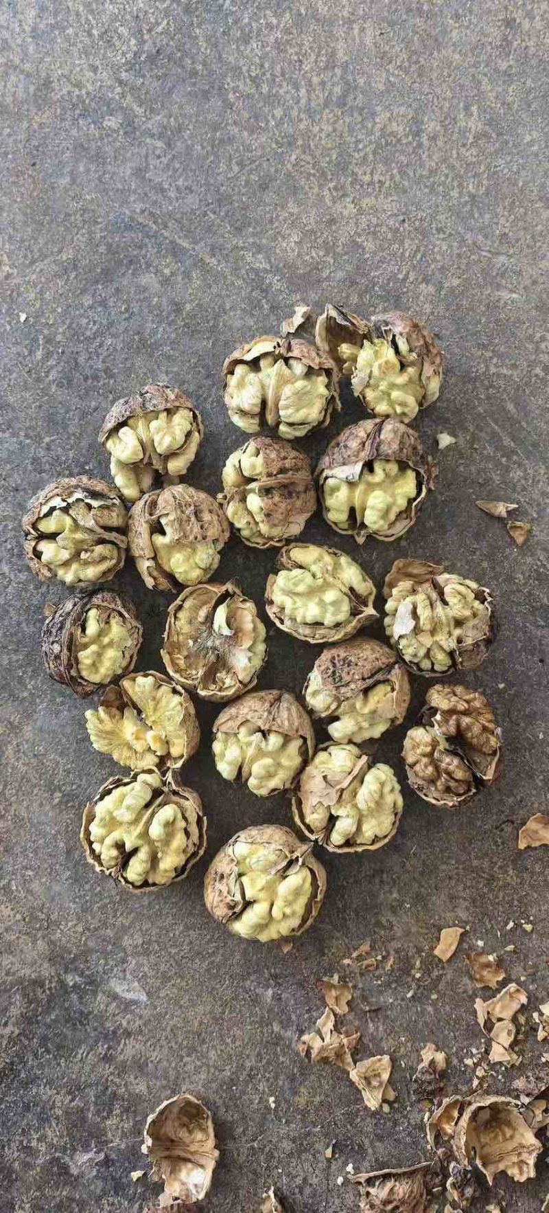 云南新大麻子核桃103185电商代发