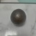 羊宝