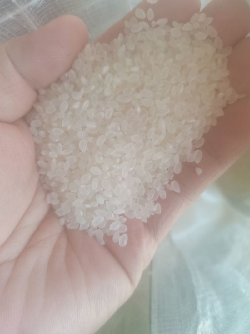 小粒香长粒稻花香