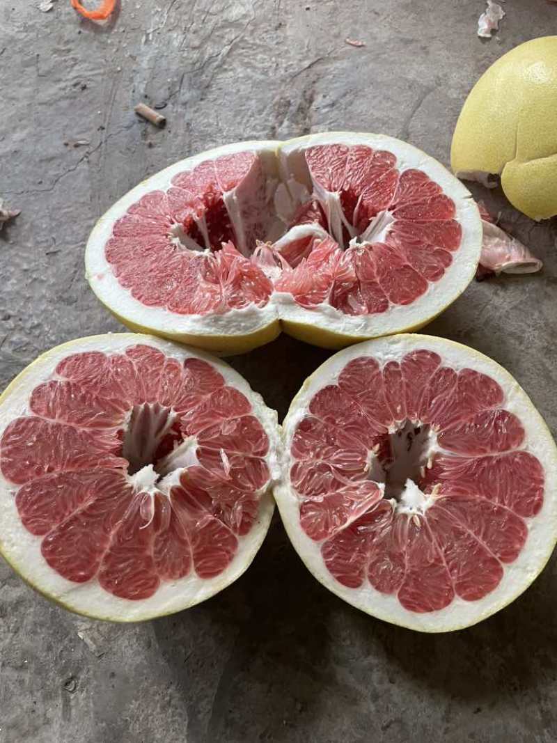 红心柚