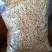 燕麦原粮（净粮）经过筛选的燕麦原粮