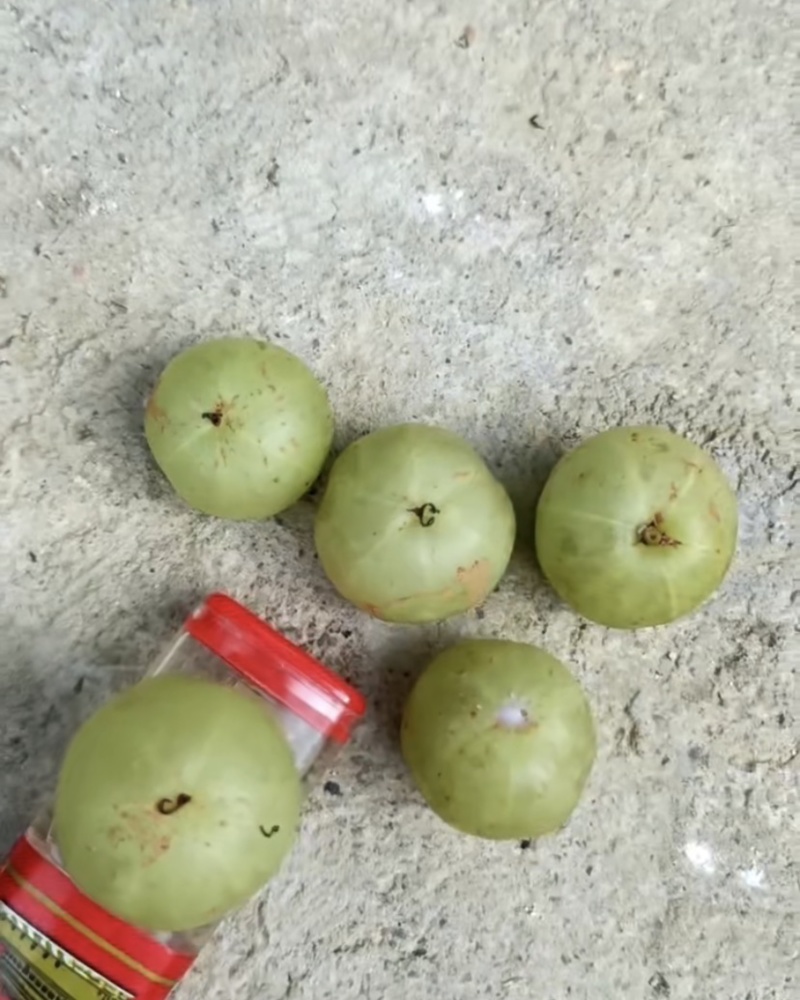 榨汁油柑，腌制油柑