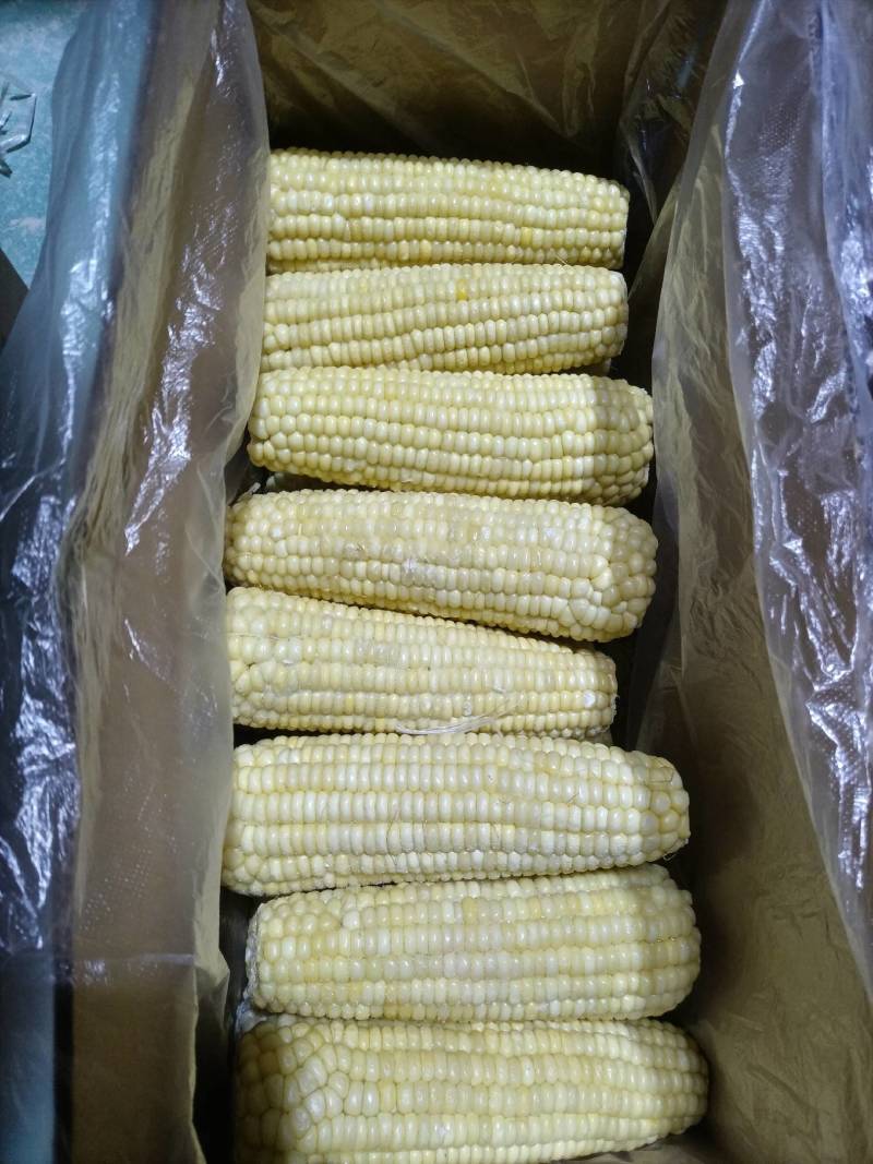 真空玉米花玉米白玉米甜糯