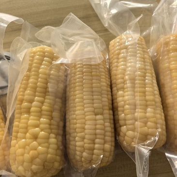 真空玉米花玉米白玉米甜糯